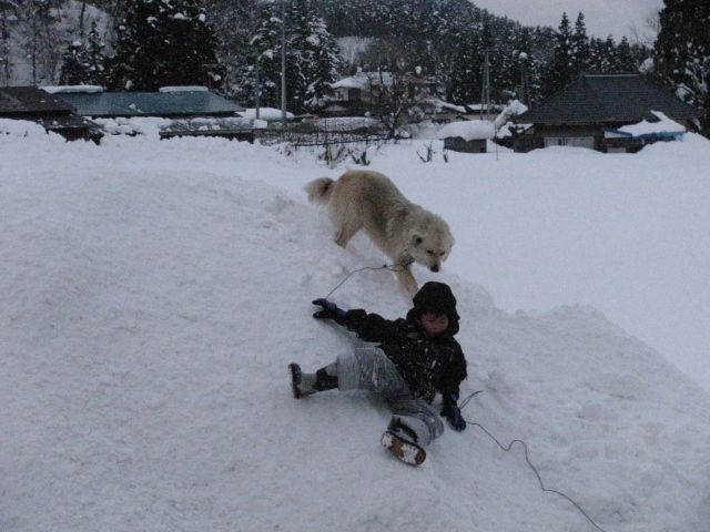 お医者様で・・。