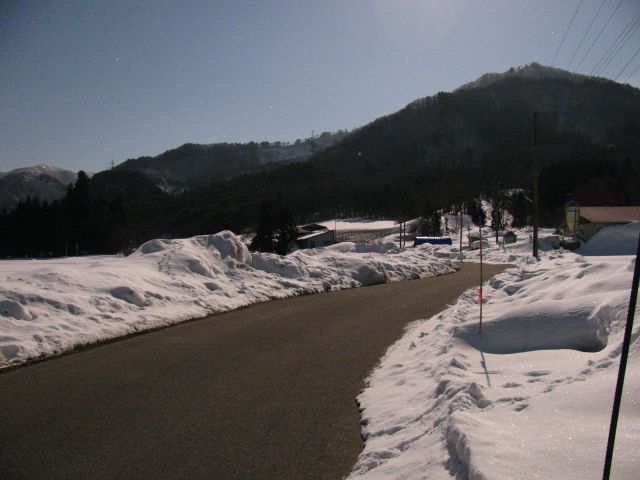 夜のお散歩