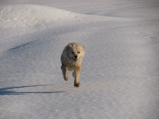 堅雪万歳