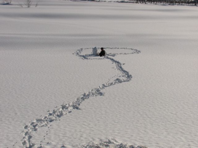 春雪