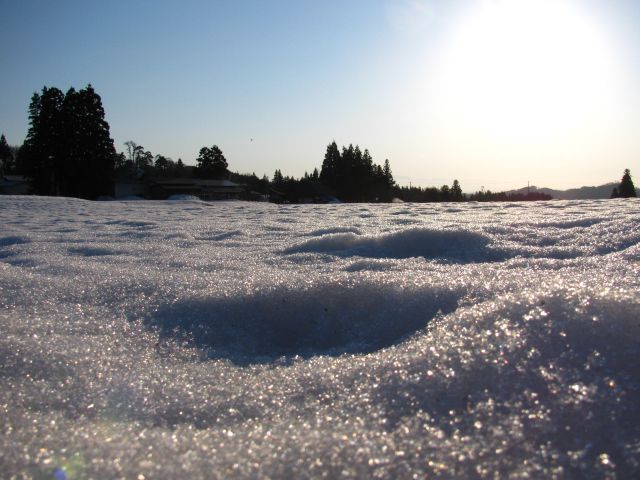 ガンバ東日本！！　　雪が消えてきたなぁ