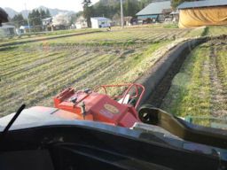 野良の生活だなぁ