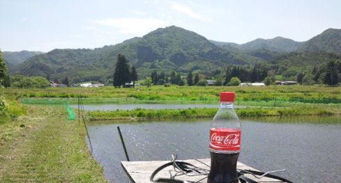 やっと一息・・・
