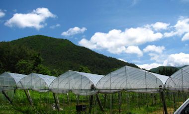 大なり、小なり