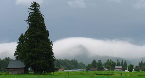 梅雨か・・・・