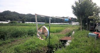 ん～、アホだね～