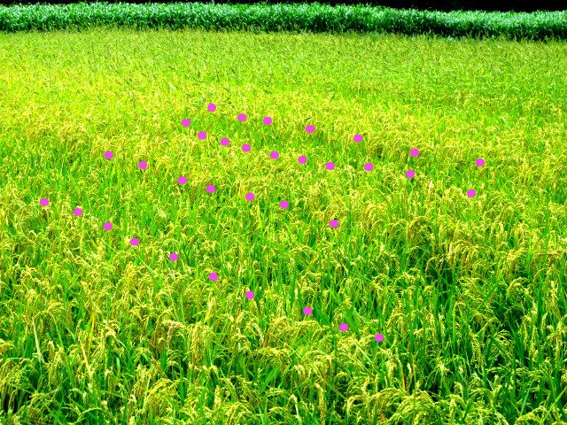 痛恨の失敗・・・・・