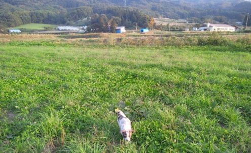 雨の朝、被災地を想う