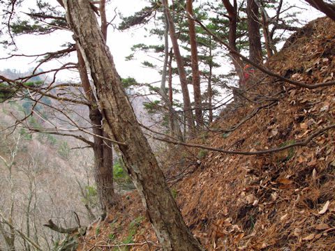 病み上がり？？に山へ出向く