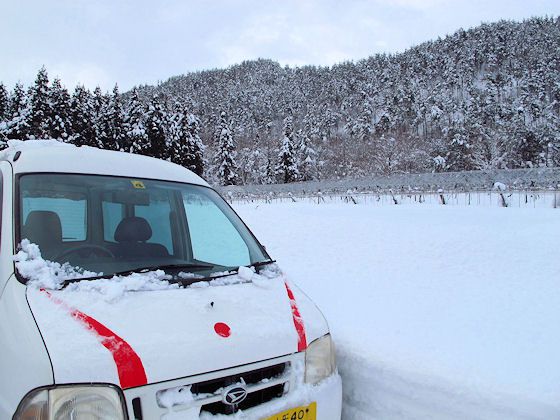 久しぶりの散歩