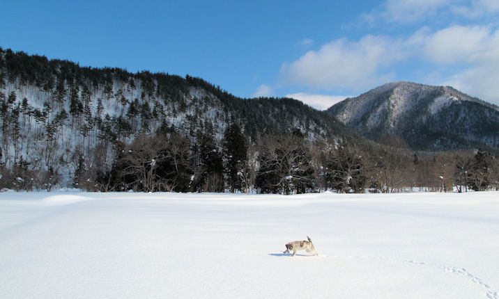 雪下ろしの仕事が終わった