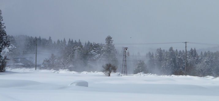 おぅ・・・・思った以上の雪だ(-_-;)