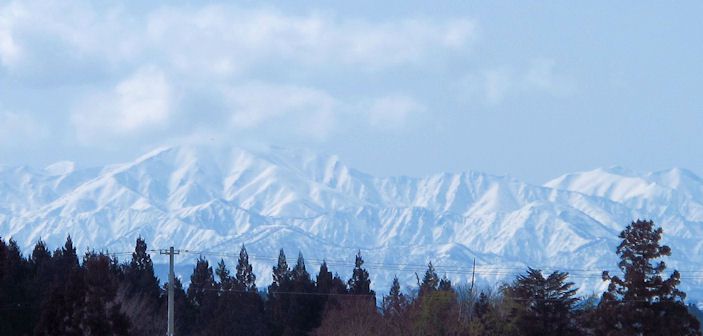 ３月１１日