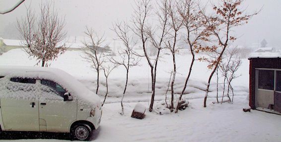 今日も・・・雪降ってる