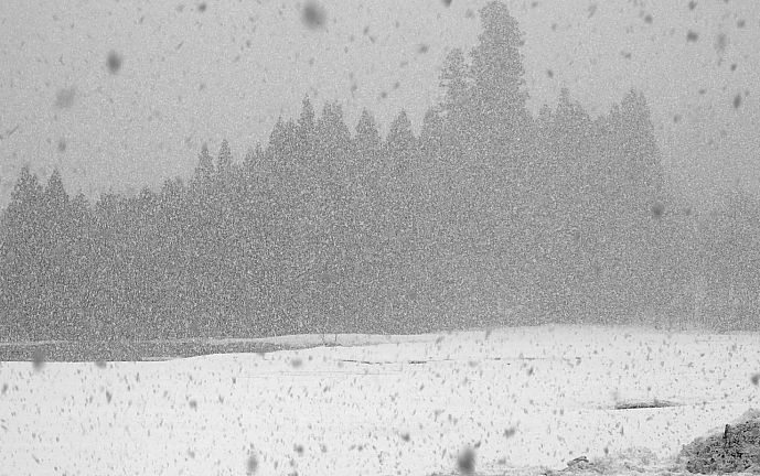 4月1日の雪