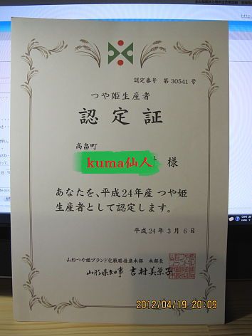 稲の苗箱を並べる