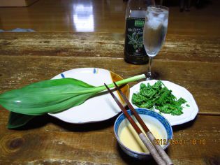 山法師