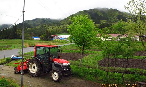 今朝は寒いなぁ