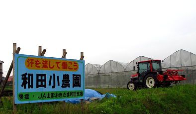 小学校の畑