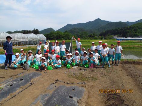 小学校の畑の先生