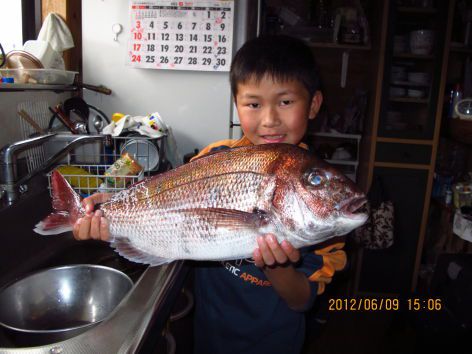海仙人