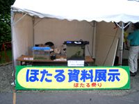 ７月３日（日）ホタル祭