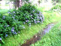 心落ち着く風景