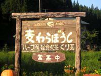 麦わらぼうし