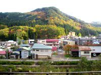 紅葉