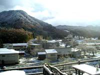 初雪