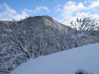雪下ろし
