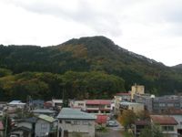 秋