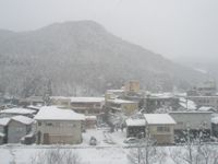 今日の小野川