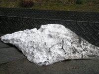 名残雪