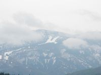 白馬の騎士