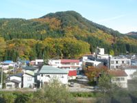 紅葉