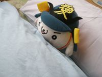 かねたん　ぬいぐるみ
