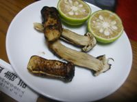 マツタケ