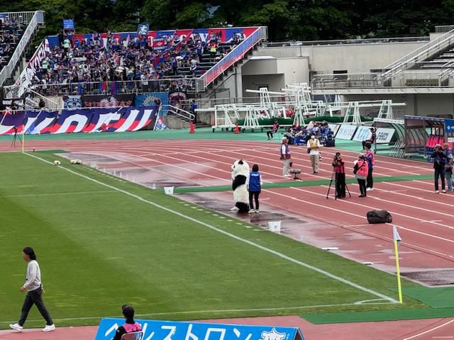 スタジアムにパンダ