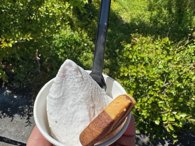 はまだ牧場