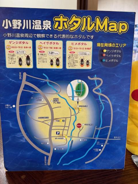 ほたるまつり