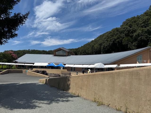 山形市ジャバ