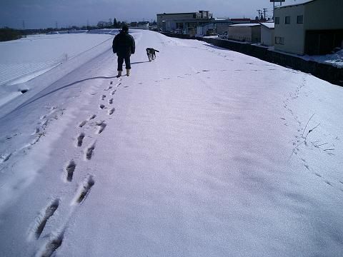 マダムとノア