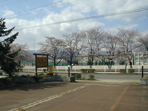 いい天気ですよ・・・とおすすめランチ