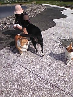 うれしいー！