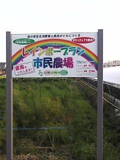 目の前の畑が