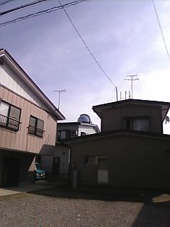 暑っ！朝のワンショット