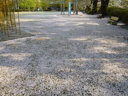 なんだこれは！すごい！