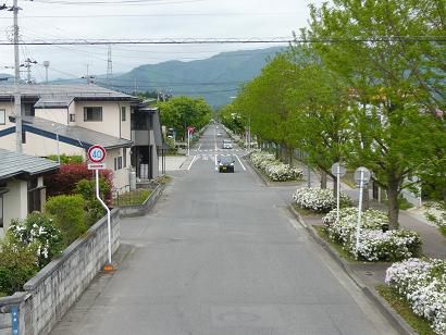 一本道のつつじ散策♪ここは長井市船場