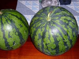 夏の終わりのスイカ。味に保障ナシ！ジュアン
